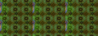 Küçük çaplı çiçeklerdeki basit şirin desenler. Tekstil veya kitap kapakları, imalat, duvar kağıtları, baskı, hediye paketi ve yapıştırma kitabı için çiçek eskizi geçmişi. Raster illüstrasyonu.