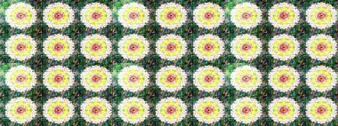 Tropik çiçek desenleri. Raster illüstrasyonu. Yeşil renkte çiçekler.