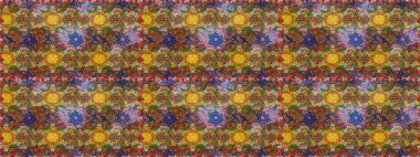 Parlak renkli çiçekleri ve kahverengi renkli yaprakları olan harika bir çiçek deseni. Moda baskıları için zarif bir şablon. Modern çiçek arkaplanı. Halk stili.