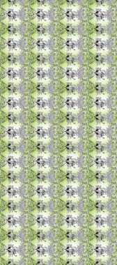 Paisley el çizimi elementler. Fantezi çiçekli kusursuz desen, doğal duvar kağıdı, çiçek desenli kıvrım çizimi. Ev dekoru.