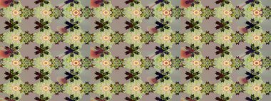 Eskiz arkaplan modeli. Gri yapraklı yabani çiçekler. Suluboya, elle çizilmiş. Raster illüstrasyonu.