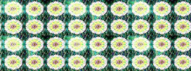 Kızılderili desenli desenli desenli şal deseni. Etnik Mandala süsü. Raster Henna dövme stili. Tekstil, tebrik kartı, boyama kitabı, telefon kılıfı baskısı için kullanılabilir.