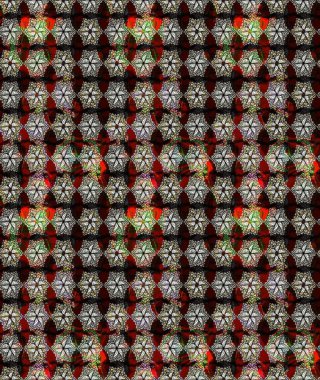 Sevimli çiçek raster deseni. Düz Çiçek Elementleri Tasarımı. Renkli Bahar Teması eskiz kalıbı. Siyah renkte çiçekler.