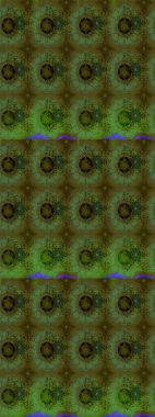 Raster deseni. Çiçek arkaplan. Çiçek kompozisyonu. Çiçek kolajı. Küçük çiçekte güzel bir desen var. - Çiçekler. Doğa.