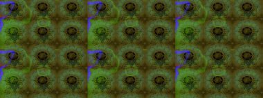 Çiçeksel fantezi tasarımı ve parlak bir arka plan çizimi. Renkli Bahar Teması eskiz kalıbı. Düz Çiçek Elementleri Tasarımı.