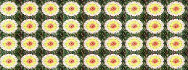 Eskiz modeli etnik tasarım. Çiçekleri, deniz kabukları, mandalaları ve suluboya efektleriyle donanma geçmişi. Yatak çarşafları, ceket, paket tasarımı, kumaş ve moda kavramları için tekstil baskısı.