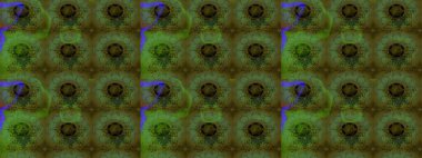 Çiçeksel fantezi tasarımı ve parlak bir arka plan çizimi. Renkli Bahar Teması eskiz kalıbı. Düz Çiçek Elementleri Tasarımı.