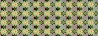 Tarafsız renklerde çiçekler. Renkli Bahar Teması eskiz kalıbı. Çiçekli çizim şekli. Düz Çiçek Elementleri Tasarımı.