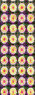 Klasik çiçek tasarımı elementleri. Raster illüstrasyonu. Tarafsız kıvırcık çiçekler nötr renklerde şekillenir.