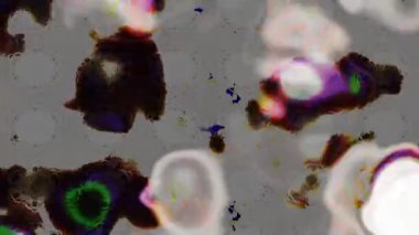 Renkli unsurlarla hareketli arka plan görüntüleri. Çiçekler. Eski model. Bayrak tarzı. Video kaydı. Şablon. Döngü. Kusursuz.