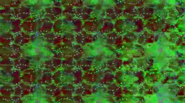 Renkli unsurlarla hareketli arka plan görüntüleri. Çiçekler. Eski model. Bayrak tarzı. Video kaydı. Şablon. Döngü. Kusursuz.. 