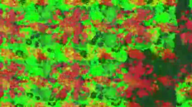 Renkli unsurlarla hareketli arka plan görüntüleri. Çiçekler. Eski model. Bayrak tarzı. Video kaydı. Şablon. Döngü. Kusursuz.. 