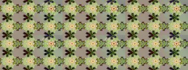 Sevimli çiçek raster deseni. Tarafsız renklerde çiçekler. Sketch Colour Spring Theme eskiz kalıbı. Düz Çiçek Elementleri Tasarımı.