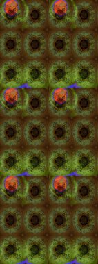 Bahar mevsimi. Nazik romantik baskı. Tatil havası. Raster güzel bir çiçek deseni çiziyor..