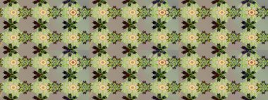 Sevimli çiçek raster deseni. Tarafsız renklerde çiçekler. Sketch Colour Spring Theme eskiz kalıbı. Düz Çiçek Elementleri Tasarımı.