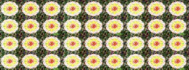 Parlak renkli çiçekli ve yeşil yapraklı harika bir çiçek deseni. Moda baskıları için zarif bir şablon. Modern çiçek arkaplanı. Halk stili.