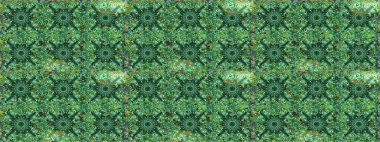 Stilize çiçek ile Seamless modeli. Süslü zentangle sorunsuz doku, soyut çiçeklerle süs. Çiçek desenli kullanılan duvar kağıdı, desen dolgularını, web sayfası arka planı için.