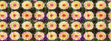 Suluboya çiçekli çiçek deseni. Sarı renkli Asya tekstili. Raster illüstrasyonu.