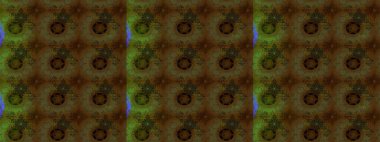 Raster illüstrasyonu. Kahverengi renkli çiçekler. Küçük çiçekte sevimli çiçek deseni var..