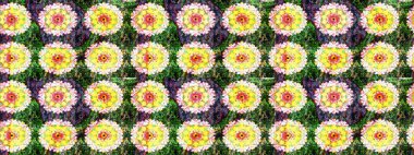 Ton halinde. Çiçeğin suluboya çizimlerinin mükemmel deseni. Dekorasyon ve tasarım için güzel bir desen. Suluboya desensiz çiçek buketi. Moda yazdırma.