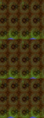 Raster illüstrasyonu. Şirin karalamalı çiçek desenli çizim. Eskiz tarzı kahverengi ve yeşil renklerde. Raster illüstrasyonu. El yapımı çiçek ve bitki koleksiyonu.