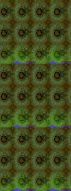 Raster deseni. Çiçek arkaplan. Çiçek kompozisyonu. Çiçek kolajı. Küçük çiçekte güzel bir desen var. - Çiçekler. Doğa.