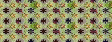 Renkli desenli eskiz deseni nötr çiçekler ve dekoratif elementlerle. Eskiz geçmişi. Raster illüstrasyonu. Kumaş, tekstil, duvar kağıdı baskısı için. Antika retro tarzı.