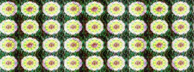 Yeşil renkli çiçekler. Elle boyanmış suluboya resim çizimi çiçekler ve bitkiler.