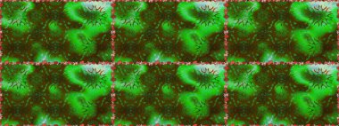 Moda baskıları için zarif bir şablon. Küçük çiçekte güzel bir desen. Motley illüstrasyonu. Küçük renkli çiçekler. Çiçekli bahar çiçekleri.