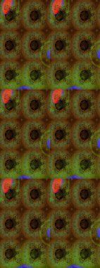 Suluboya etkisi. Botanik çizim kalıbı. Organik elementler. Raster deseni.