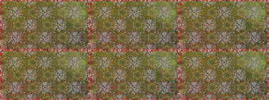 Moda baskıları için zarif bir şablon. Çiçekli bahar çiçekleri. Küçük çiçekte güzel bir desen. Motley illüstrasyonu. Küçük renkli çiçekler..