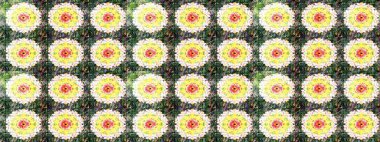 Suluboya çiçekli çiçek deseni. Raster illüstrasyonu. Yeşil renkli Asyalı tekstil.