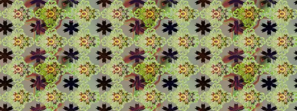 Çiçekli eskiz çizimi. Tarafsız renklerde çiçekler. Renkli Yaz Temalı eskiz kalıbı. Düz Çiçek Elementleri Tasarımı.