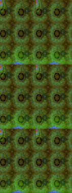 Raster çiçek desenli çiçek deseni, yapraklar, dekoratif elementler, sıçrama, lekeler, el çizimi kontur çizgileri ve Doodle çizim stili, grafik raster çizim çizimi.