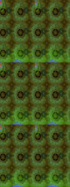 Raster çiçek desenli çiçek deseni, yapraklar, dekoratif elementler, sıçrama, lekeler, el çizimi kontur çizgileri ve Doodle çizim stili, grafik raster çizim çizimi.