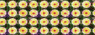 Çiçek ve yapraklı çiçek deseni. Küçük çiçekli şirin bir desen. Raster illüstrasyonu.