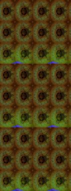 Kumaş, tekstil, duvar kağıdı baskısı için. Raster illüstrasyonu. Tomurcukları papatya çiçekleri olan sevimli bir çiçek deseni. Eski usul. Miles Fleur, süslü püslü bir süs. Taslak arkaplan.