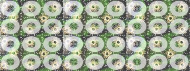 Yeşil, gri ve nötr renklerde Arapça dekor. Duvar kâğıdı için altın süslü bir illüstrasyon. Çiçek süslemeli Raster eskiz deseni. Doğu tarzında klasik tasarım öğesi. Süslü dantel iz sürücü.