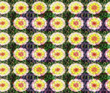 Sevimli çiçek raster deseni. Düz Çiçek Elementleri Tasarımı. Modaya uygun kumaş deseni. Renkli Yaz Teması çizim şablonu.