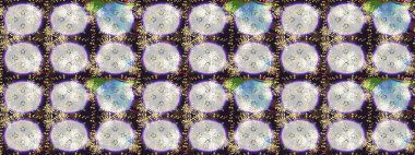 Raster illüstrasyonu. Egzotik çiçekler, nötr renklerde botanik ve parlak klasik doğa. Klasik tropikal doğal elementlerin suluboya seti.