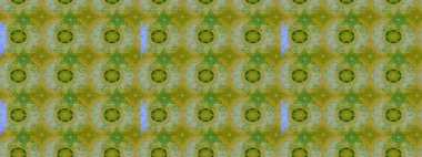 Raster kına dövme tarzı. Etnik Mandala süsleme. Kullanılabilir Tekstil, tebrik kartı, boyama kitabı, telefon durumda yazdırma için. Hint çiçek desenli madalyon desen.