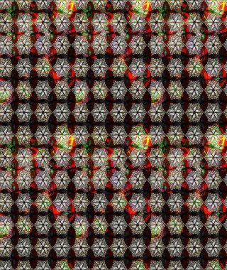 Raster illüstrasyonu. Siyah renkli çiçekler. Küçük çiçekte sevimli çiçek deseni var..