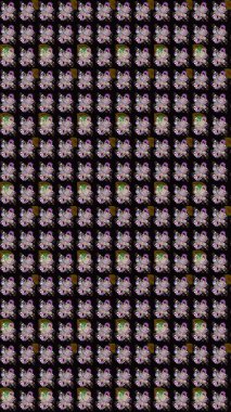 Yumuşak, bahar çiçekleri siyah renklerde. Çiçekli yumuşak bir eskiz şekli. Raster illüstrasyonu. Raster çiçekleri klasik tarzda resmedilir..