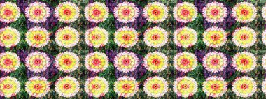 Çiçekli yeşil renkte bir çiçek deseni çiz. Suluboya tarzında yeşil renkte çiçekler.