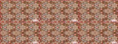 Etnik Mandala süsleme. Kullanılabilir Tekstil, tebrik kartı, boyama kitabı, telefon durumda yazdırma için. Raster kına dövme tarzı. Hint çiçek desenli madalyon desen.