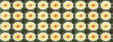 Çiçekli eskiz çizimi. Yeşil renkli çiçekler. Renkli Yaz Temalı eskiz kalıbı. Düz Çiçek Elementleri Tasarımı.