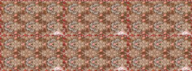 Etnik Mandala süsleme. Kullanılabilir Tekstil, tebrik kartı, boyama kitabı, telefon durumda yazdırma için. Raster kına dövme tarzı. Hint çiçek desenli madalyon desen.