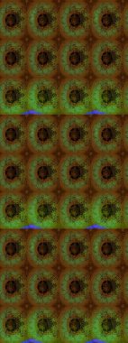 Klasik çiçek desenli. Yumuşak fayans. Yumuşak pamuk tasarımı. Raster 'ın taze dokusu. Paketleme, tekstil, duvar kağıdı için çiçek arkaplanı.