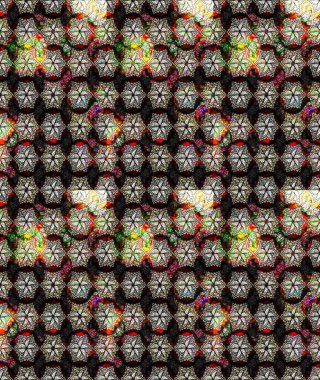 Eskiz arkaplan modeli. Suluboya, elle çizilmiş. Raster hisseleri. Siyah üzerine çiçekler.