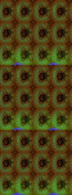 Klasik çiçek desenli. Yumuşak fayans. Yumuşak pamuk tasarımı. Raster 'ın taze dokusu. Paketleme, tekstil, duvar kağıdı için çiçek arkaplanı.